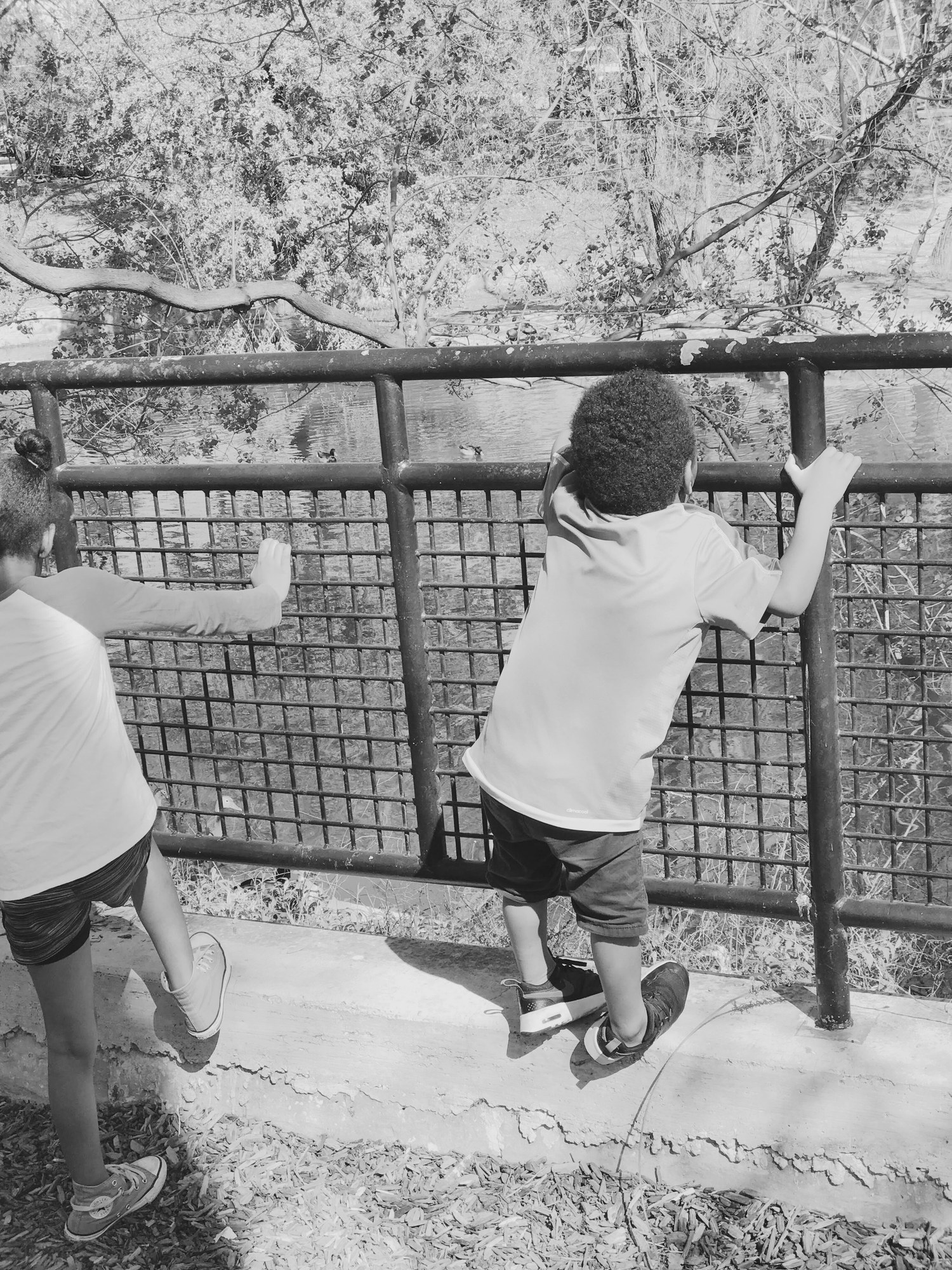 Black-and-white photo of a child standing at a fence, symbolizing family roots and inspiration.